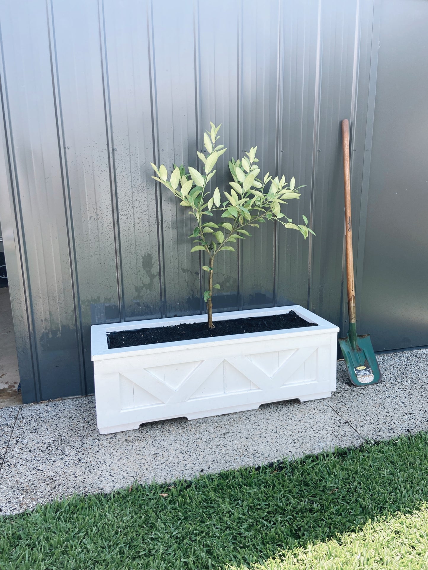 Hamptons Planter box - Rectangle